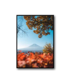 Arora Frame