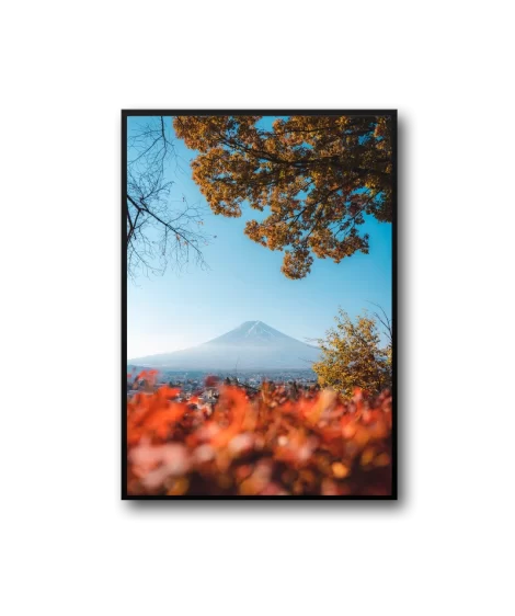 Spring Frame